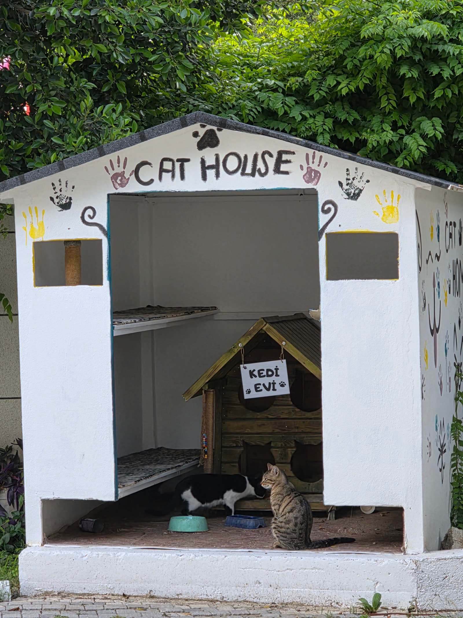 Adăpostul pentru pisici din curtea hotelului, cu inscripția „Cat House / Kedi Evi” și două pisici lângă castroanele de mâncare.