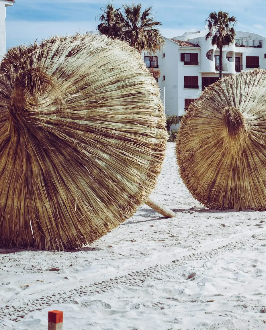 Umbrele de paie pe o plajă de nisip din Alcúdia